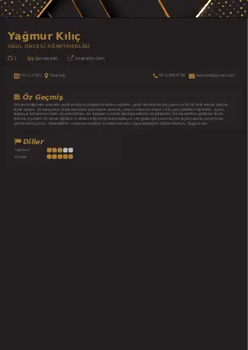 Okul Öncesi Öğretmeni Öğretmenliği Cv Örnekleri cv indir